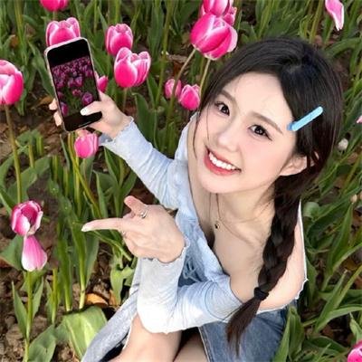 芭蕾彗星尼真斯基